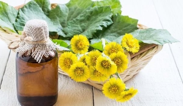 Экстракт Мать-и-мачехи масляный  